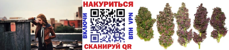 Купить где  Рузаевка  Бошки Шишки ГИДРОПОН 